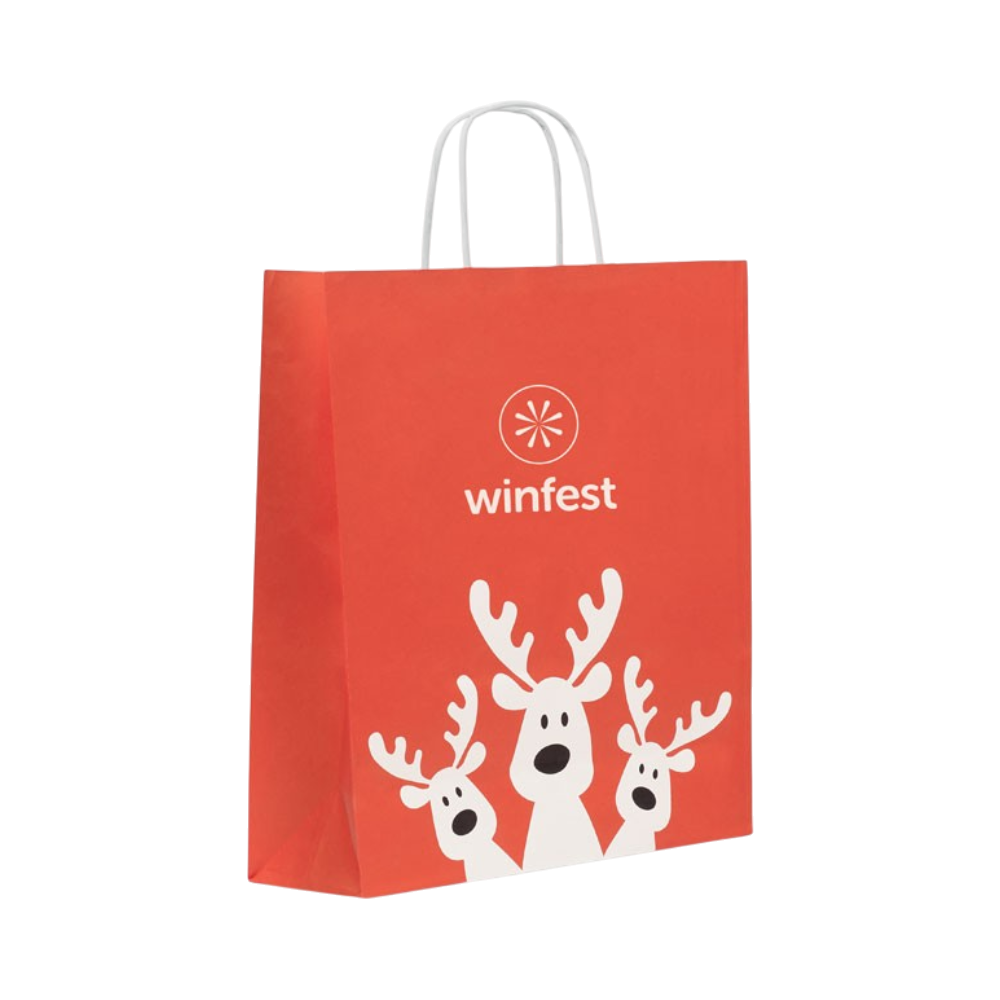 BAO Large Recycled Paper Gift Bag [christmaslargegiftpaperbag]