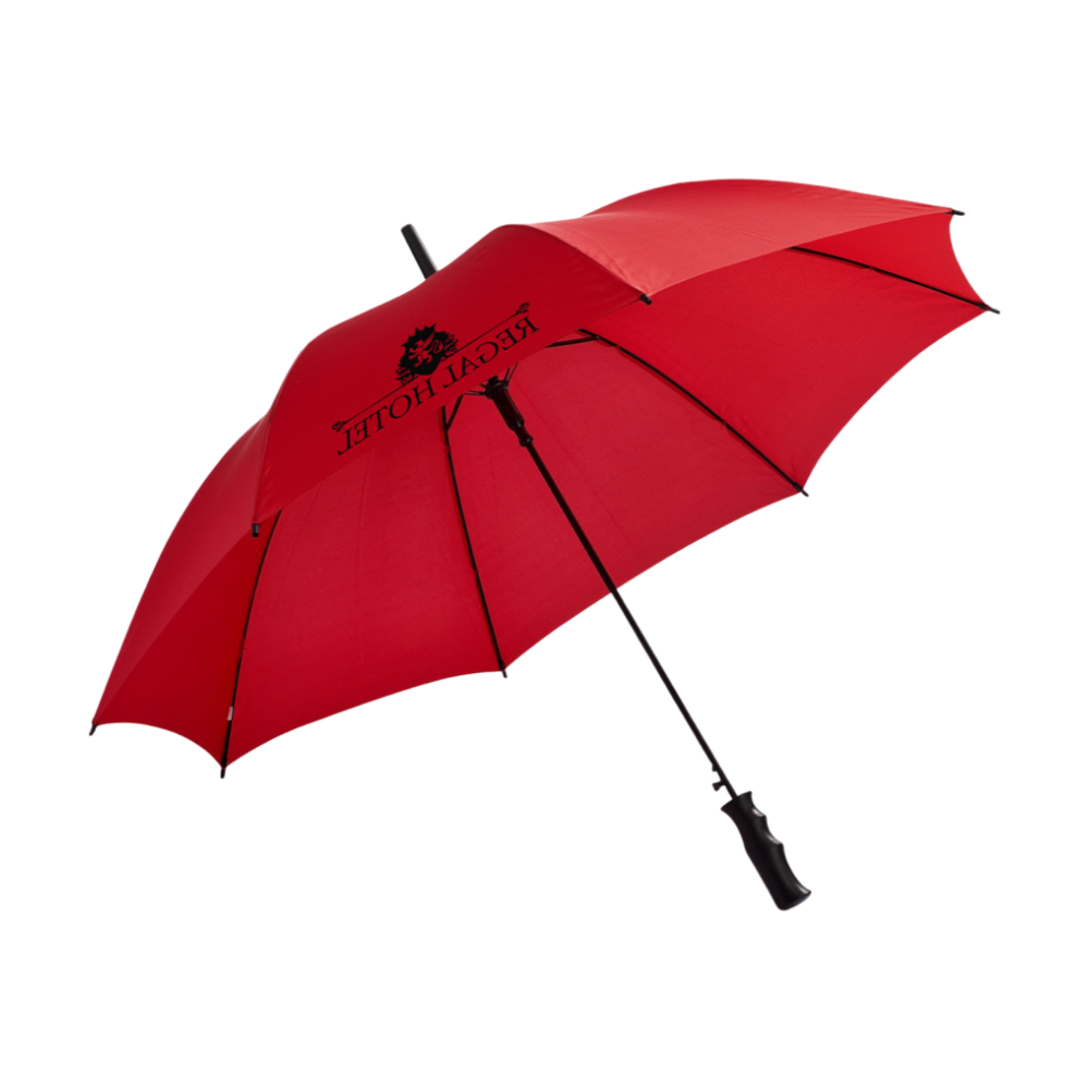 Barry Auto Open Umbrella [barry]