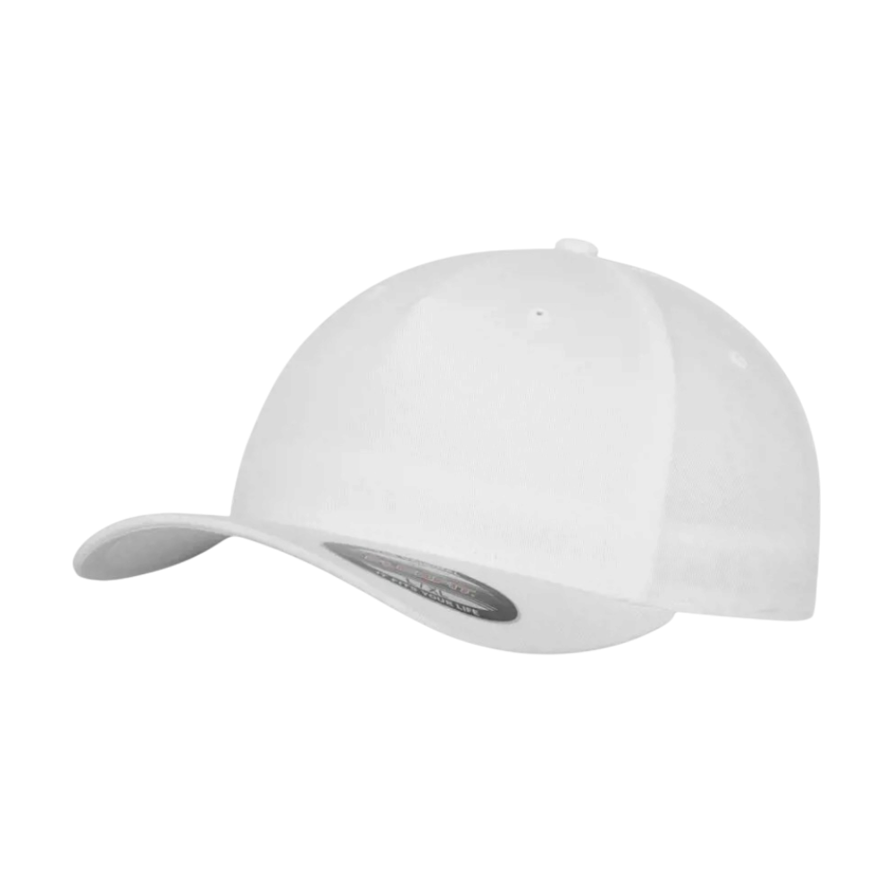 FLEXFIT Classic Cap [5panelcap]