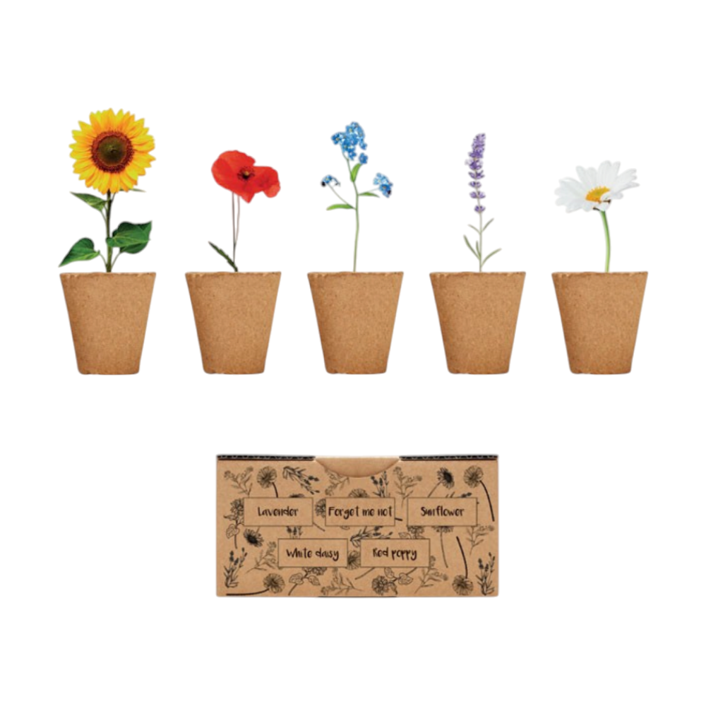 Flowers Growing Kit [flowersflowersgrowingkit]