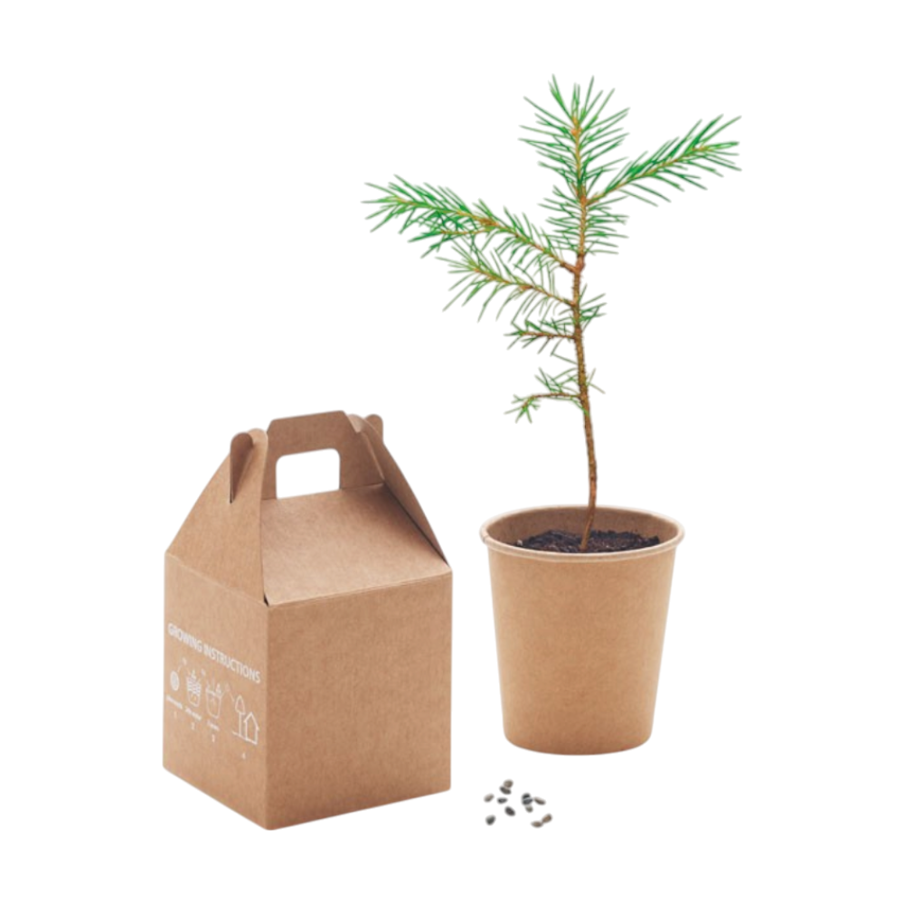 GROWTREE™ Pine Tree Set [growtreepinetreeset]
