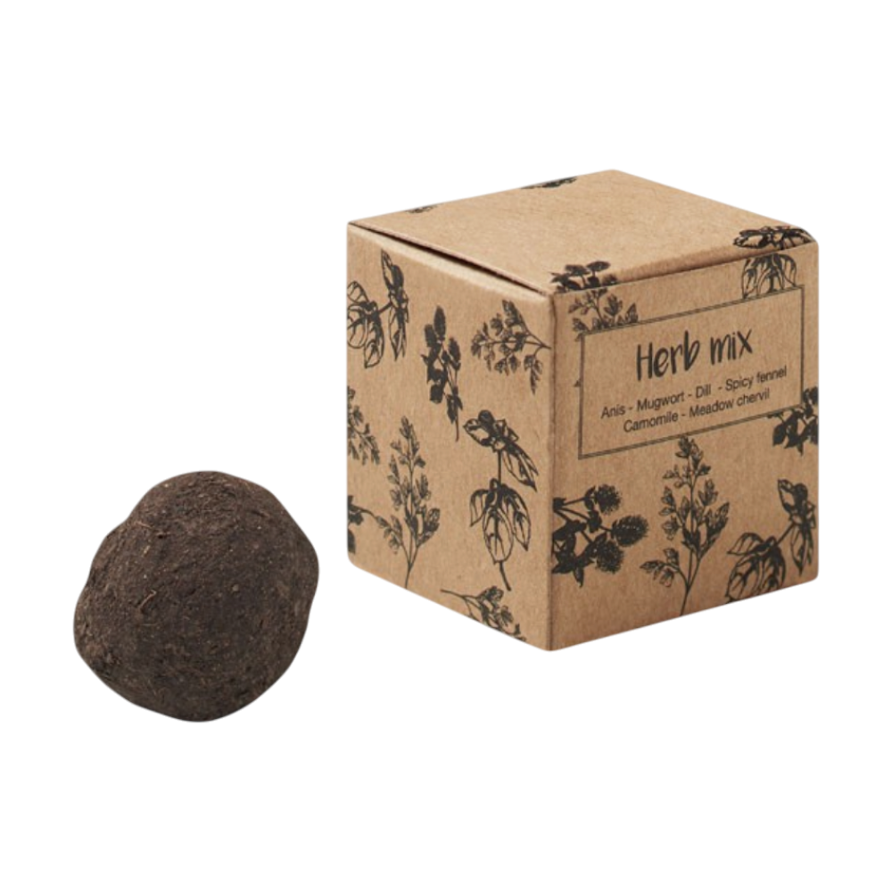 Herb Seed Bomb [bombiiiiherbseedbombincartonbox]