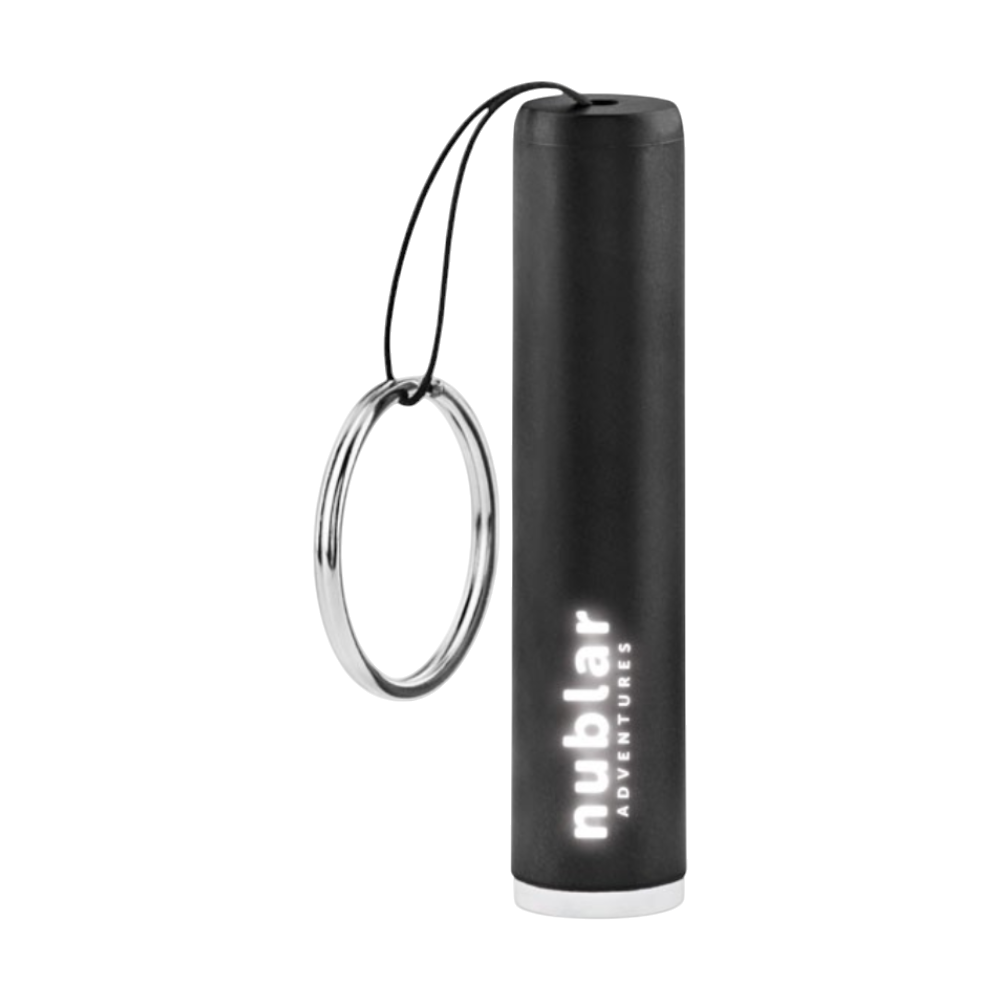 Plastic Light Up Logo Torch [sanlightplasticlightuplogotorch]
