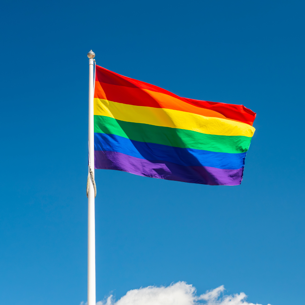 Pride Flag [rainbowpride]