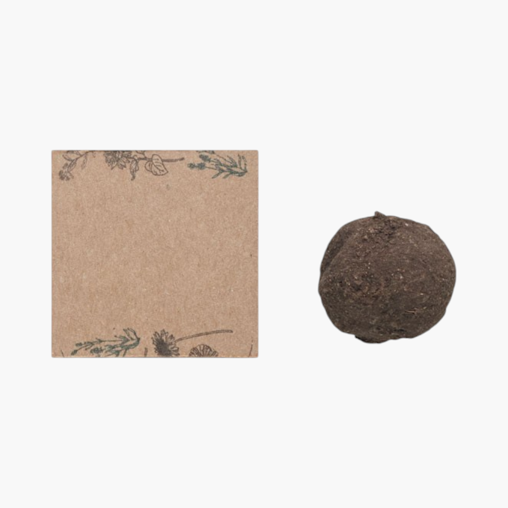 Seed Bomb Growing Kit [bombiseedbombgrowingkit]