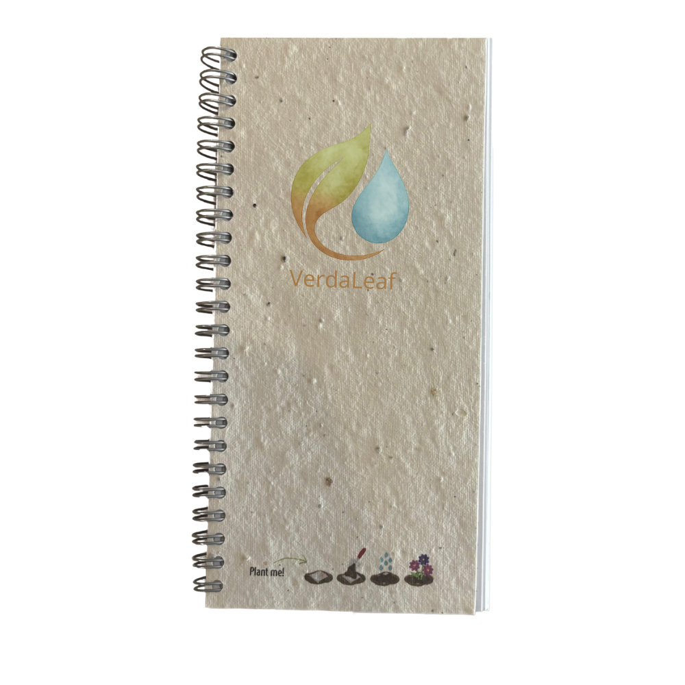 Seed Paper DL Notebook